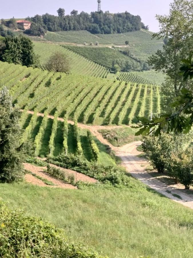 La Magia Delle Langhe Con Vista Apartment Novello